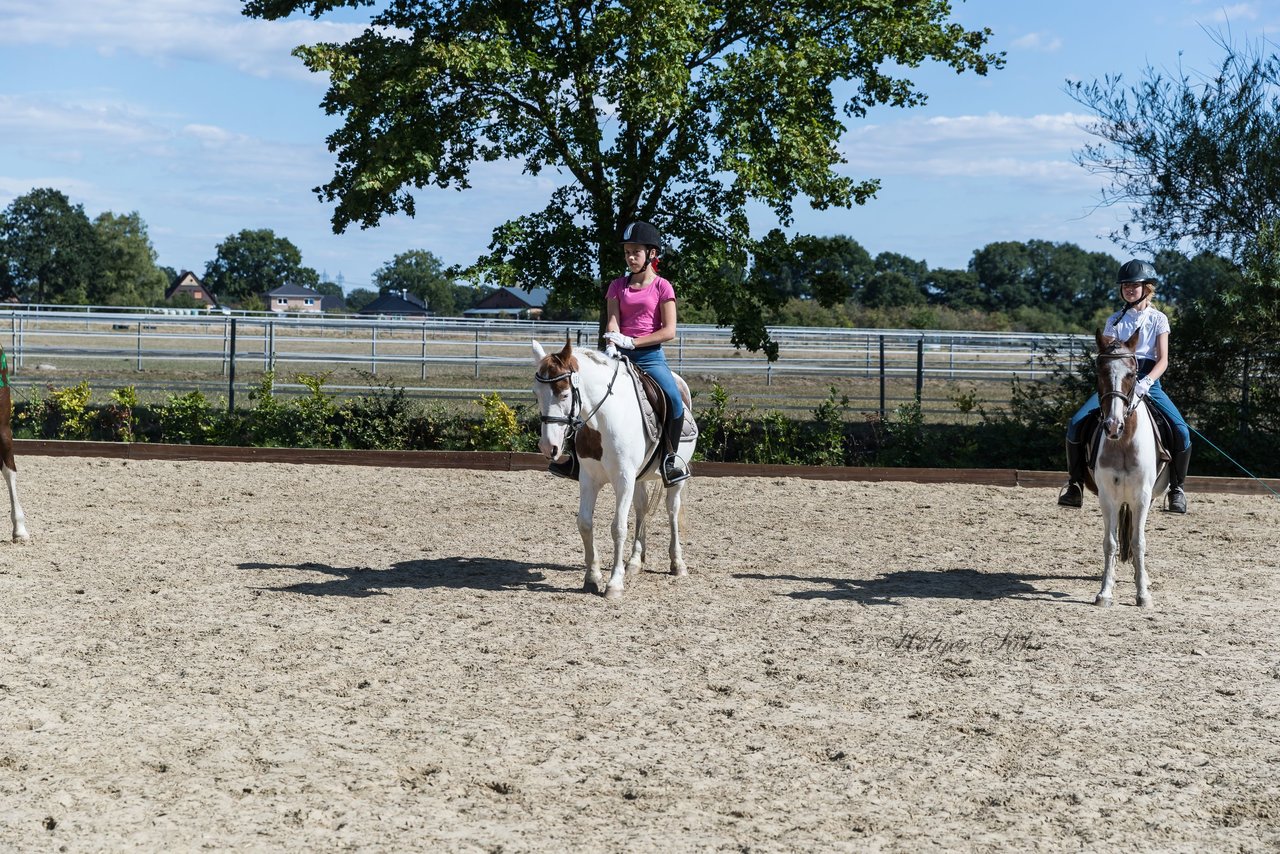 Bild 106 - Pony Akademie Turnier